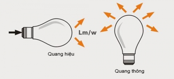 THÔNG TIN CHI TIẾT VỀ QUANG THÔNG CỦA ĐÈN LED