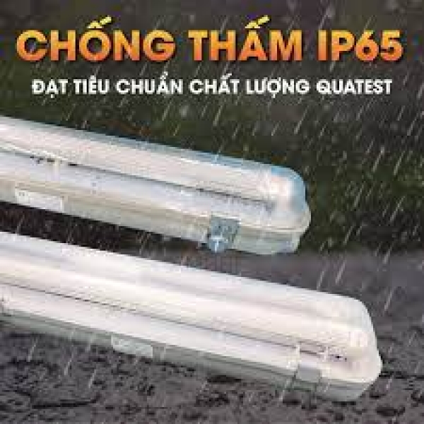 MÁNG ĐÈN CHỐNG THẤM CÓ THẬT SỰ CẦN THIẾT CHO CÁC NHÀ MÁY THỦY SẢN??